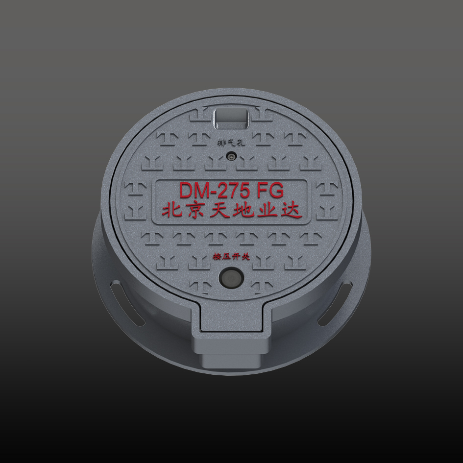 DM-275 FG